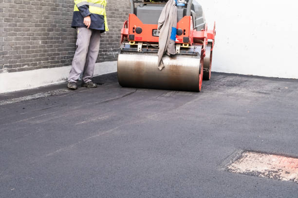 Best Driveway Drainage Solutions  in Powell, WY